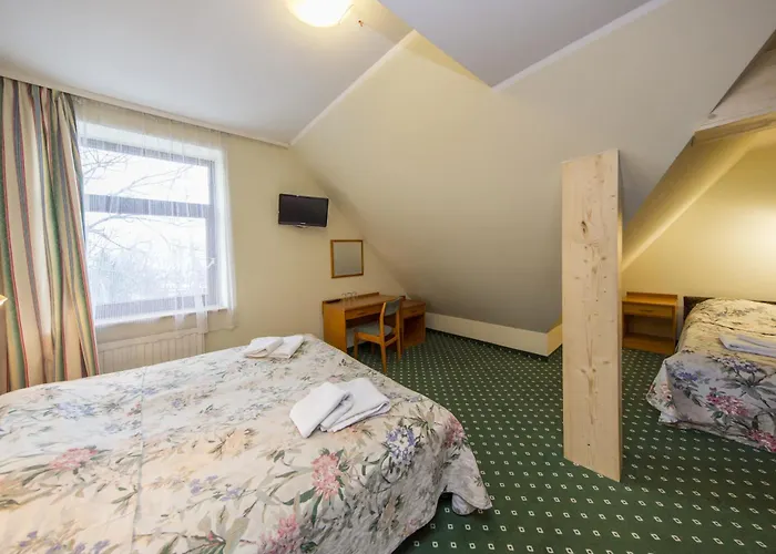 Excelsior Bed & Breakfast 3*